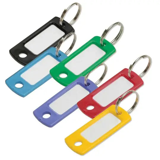 Lucky Line 16900 Key Tag with Ring Asst 200 Per Display Box