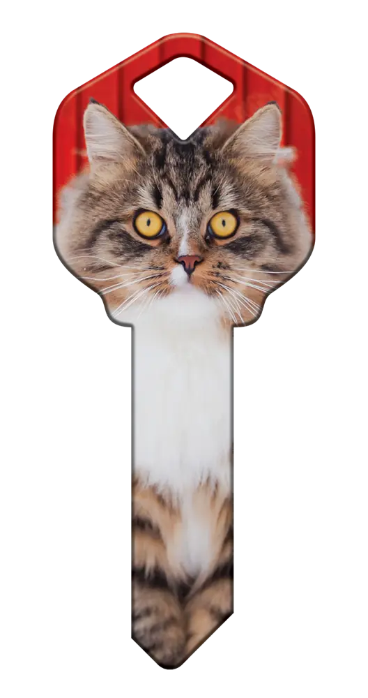 KW-HK67 Happy Keys Kwikset Maine Coon