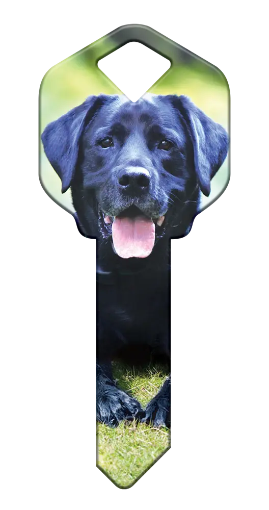 KW-HK59 Happy Keys Kwikset Labrador Retriever