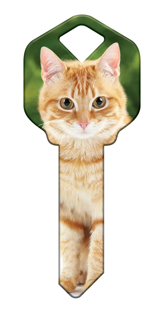 SC1-HK66 Happy Keys Schlage Orange Tabby