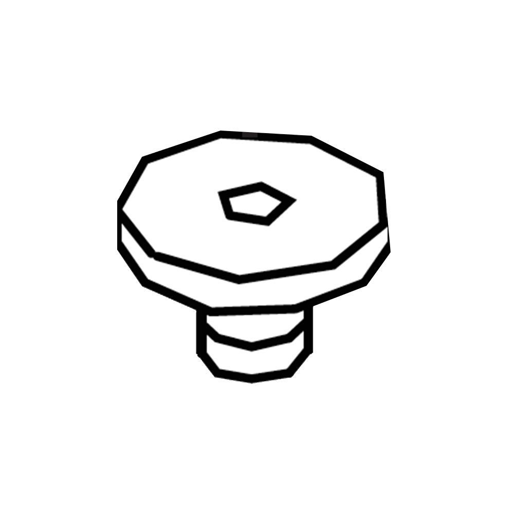 LCN 4040SE-31 696 4040SE Series Cover Screw, Satin Brass Painted Finish