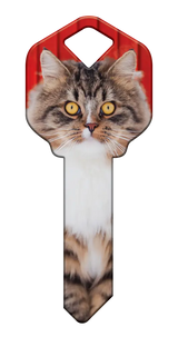 SC1-HK67 Happy Keys Schlage Maine Coon