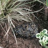 Lucky Line 90601 Rock Key Hider Brown 1 Per Pack