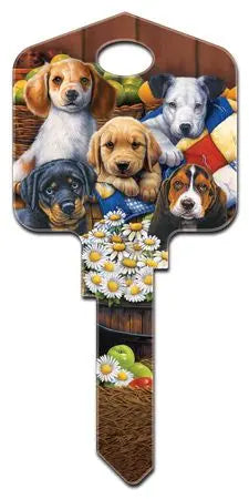 KW-AC2 ARTISAN COLLECTION Kwikset  PUPPIES