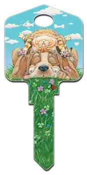 SC1-GP4 PAWS & CLAWS COLLECTION Schlage  LAZY DAY AFTERNOON