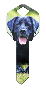 KW-HK59 Happy Keys Kwikset Labrador Retriever
