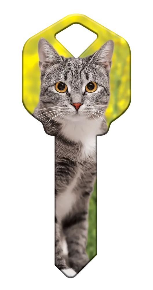 SC1-HK65 Happy Keys Schlage Silver Tabby