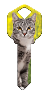 SC1-HK65 Happy Keys Schlage Silver Tabby