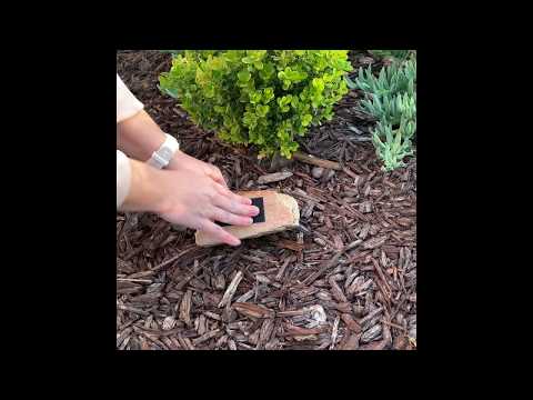 Lucky Line 91308 Extra Large Pouch Key Hider 8 Per Card